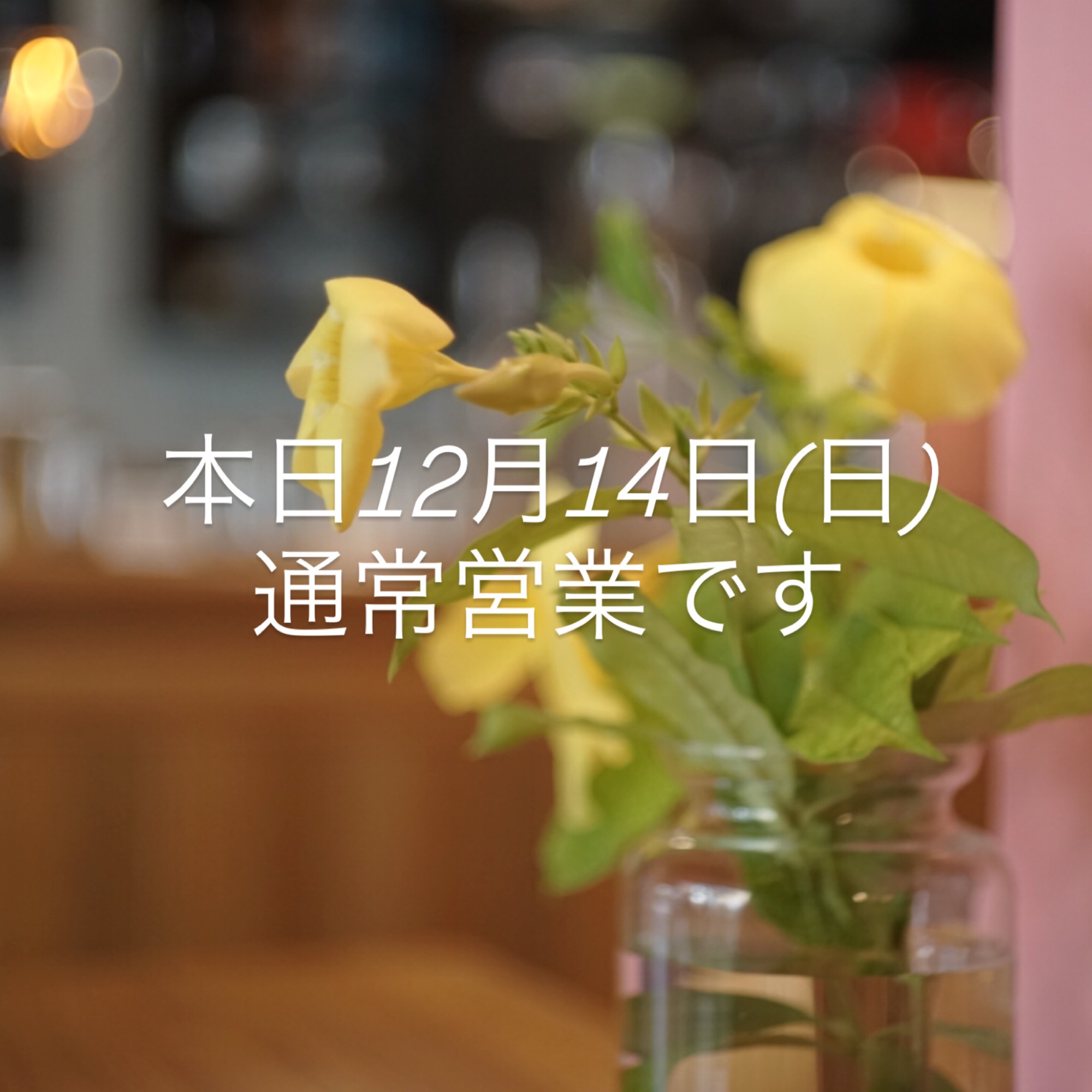 本日12月14日(日)通常営業です。